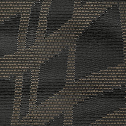 COLECCIÓN TOLEDO TARAY