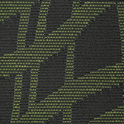 COLECCIÓN TOLEDO TARAY